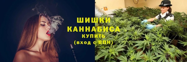 гидропоника Бугульма