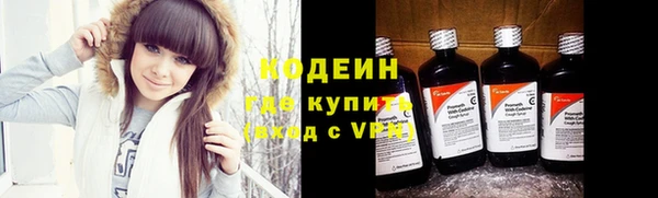 мдпв Горно-Алтайск