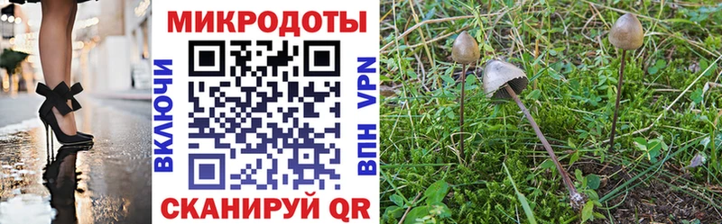 Псилоцибиновые грибы прущие грибы  магазин продажи наркотиков  hydra вход  Елабуга 